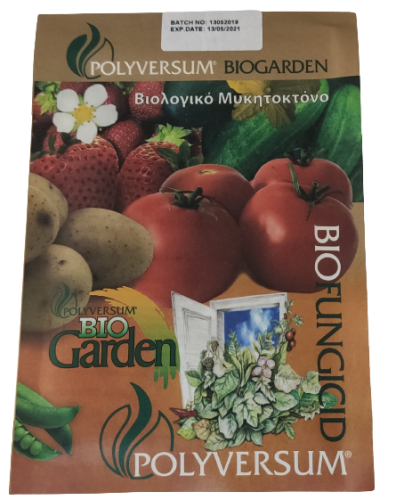 POLYVERSUM WP