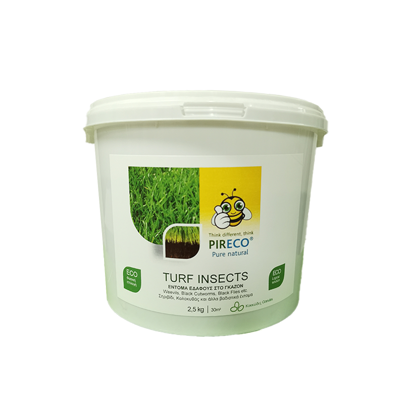 TURF INSECTS GRANULATED