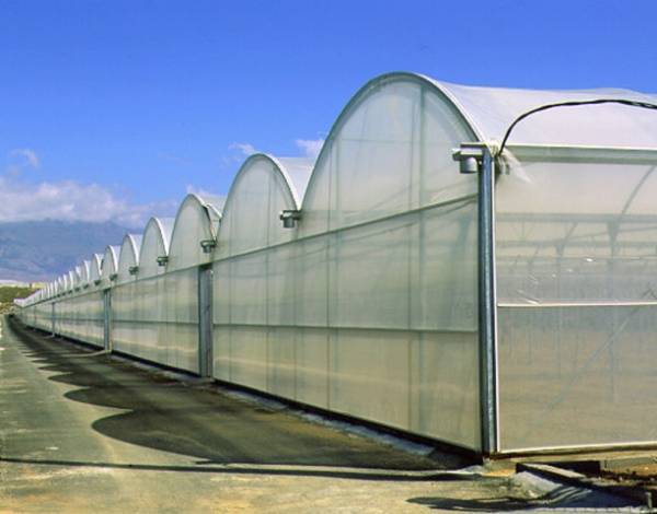 PLASTIC FILM INDASOL 200micros