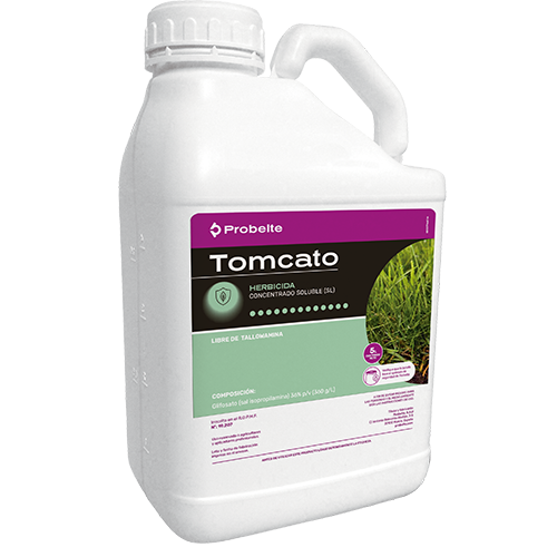 TOMCATO 36SL