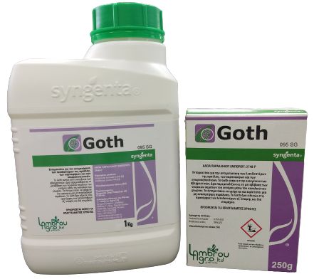GOTH 095SG