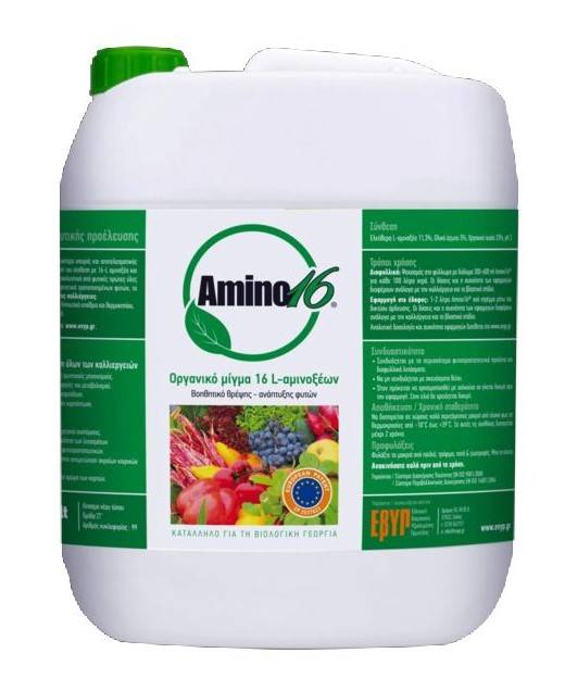 AMINO 16