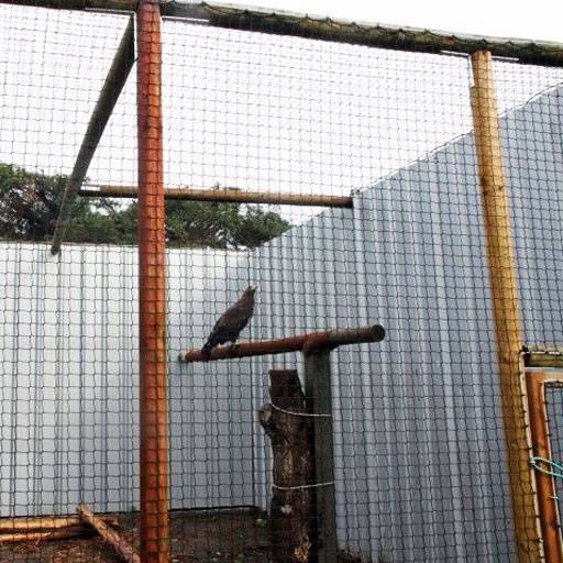 BIRD-PIGEON NETTING  
