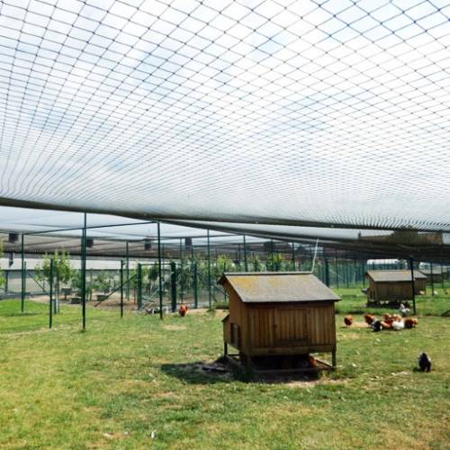 BIRD-PIGEON NETTING  