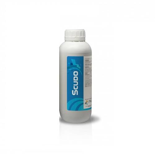SCUDO