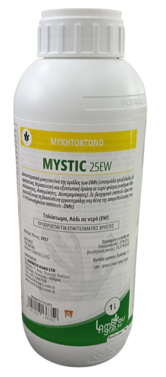 MYSTIC 25EW
