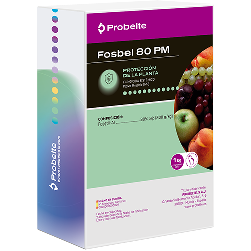 FOSBEL 80WP