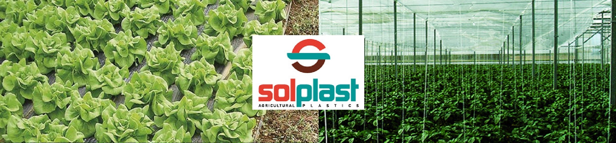 solplast2.jpg