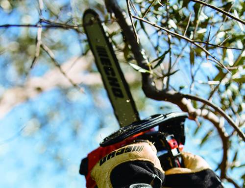 ΑΛΥΣΟΠΡΙΟΝΟ ECHO  CS-280TES/25cm