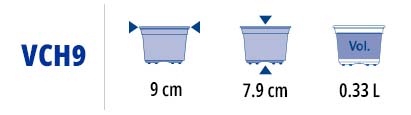 VCH9.jpg