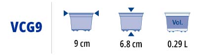 VCG9.jpg