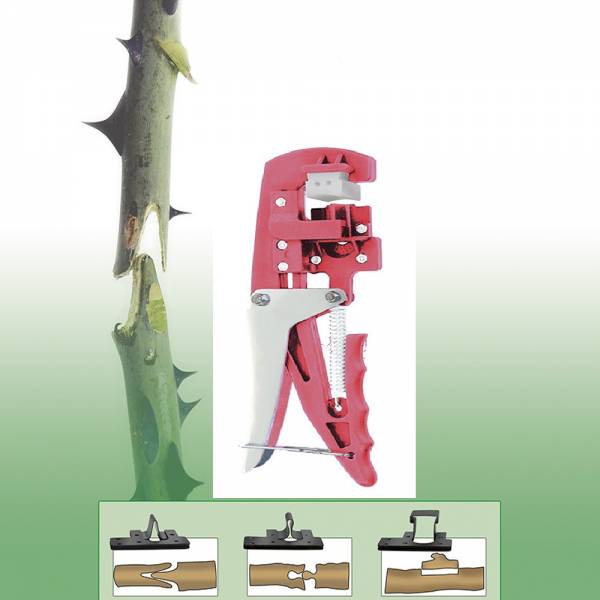 GRAFT CUTTER