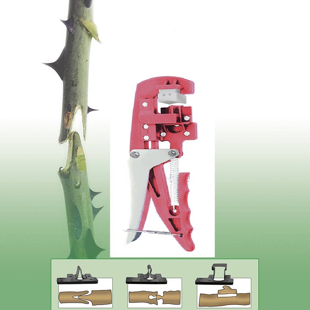 GRAFT CUTTER