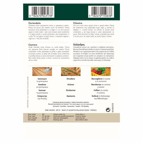 CORIANDER
