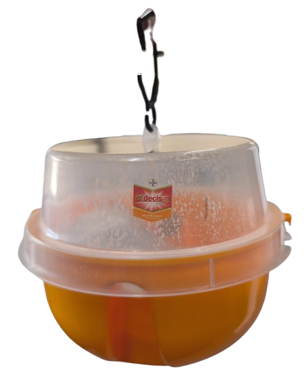 DECIS TRAP