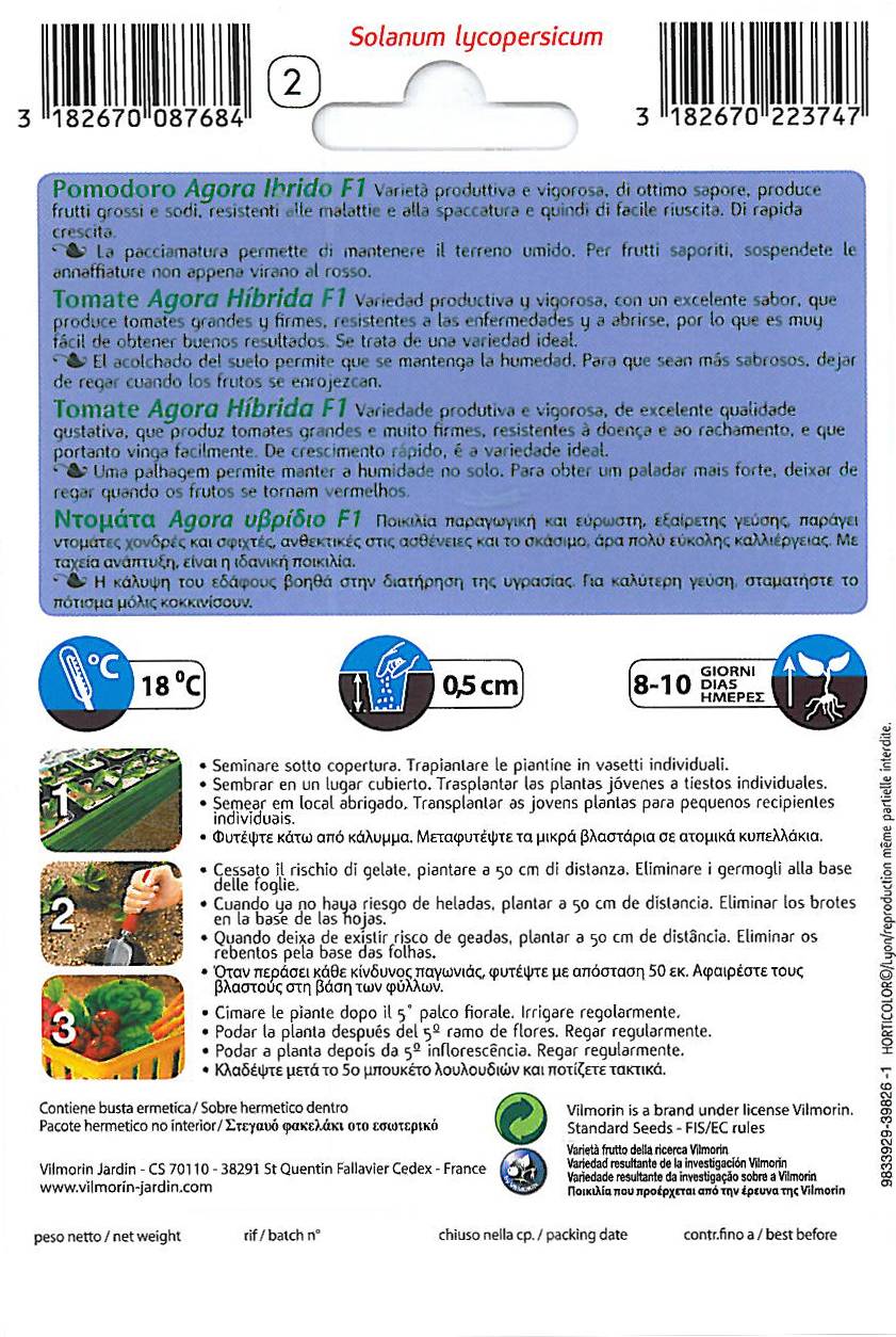 TOMATO AGORA HF1