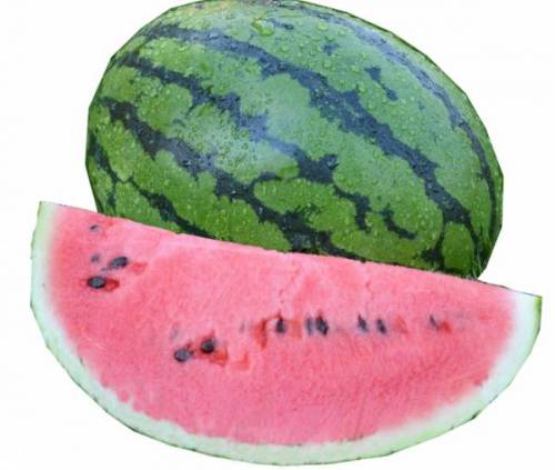 WATERMELON BEDOUIN 