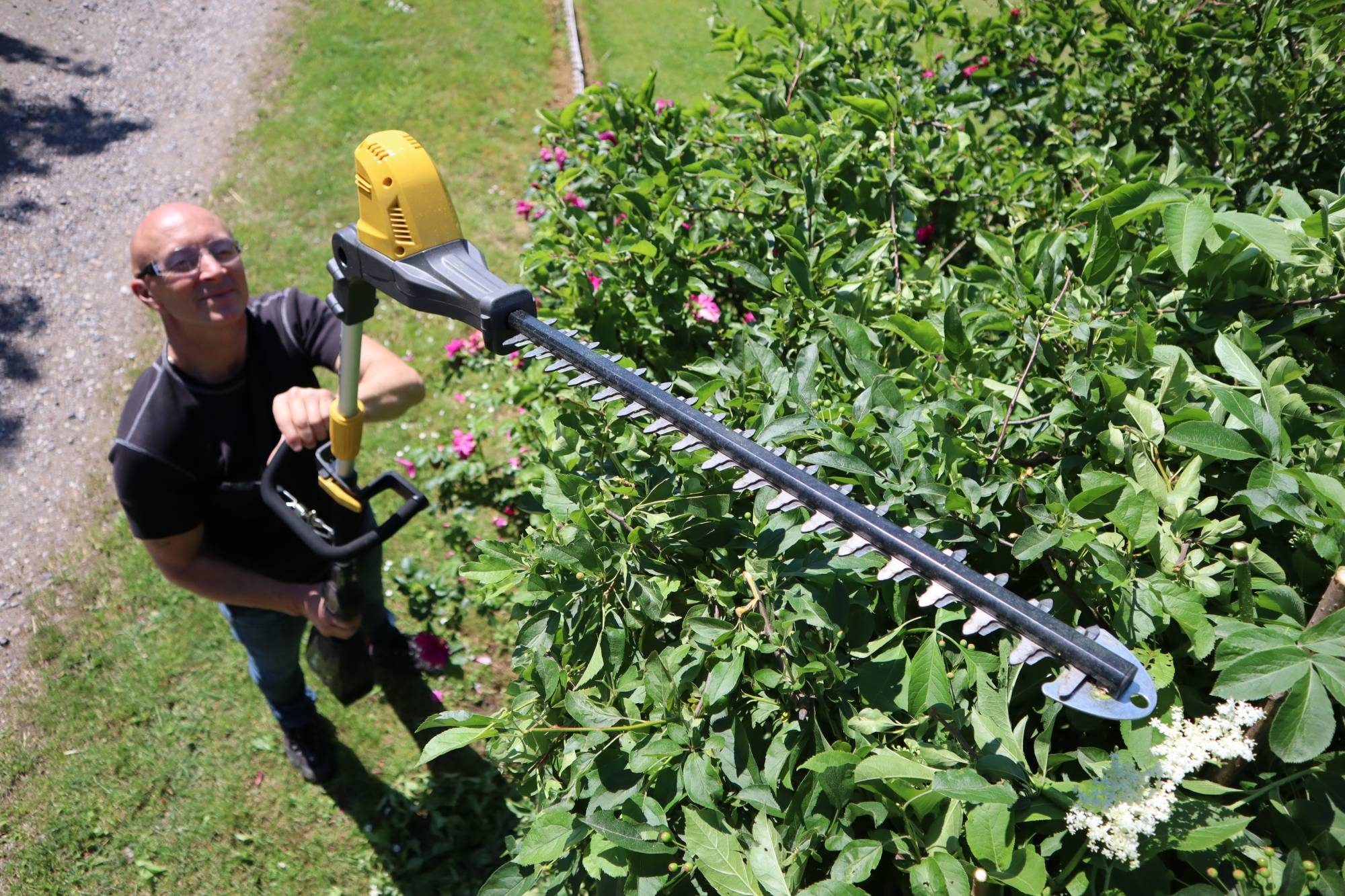 HEDGE POLE TRIMMER TEXAS PHZ5800-WITHOUT BATTERY 58V