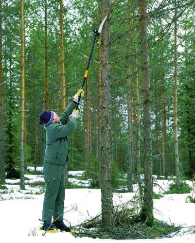 BRANCH SAW 110950