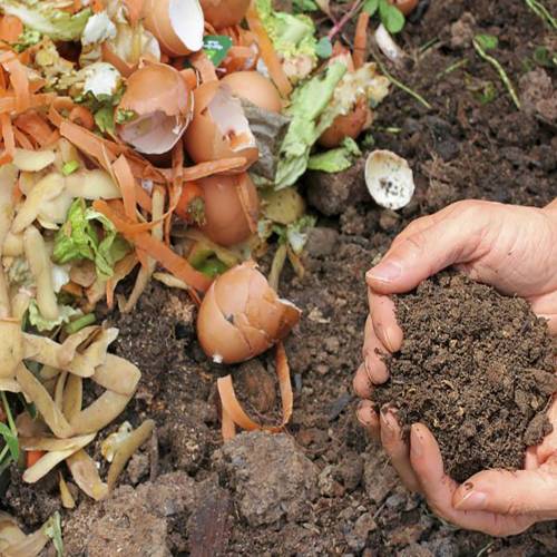 FLORCOMPOST (ΜΙΚΡΟΟΡΓΑΝΙΣΜΟΙ ΚΟΜΠΟΣΤΟΠΟΙΗΣΗΣ)