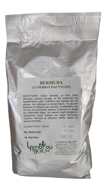 BERMUDA GRASS