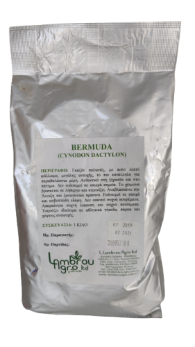 BERMUDA GRASS