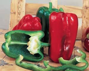 PEPPER SONAR F1