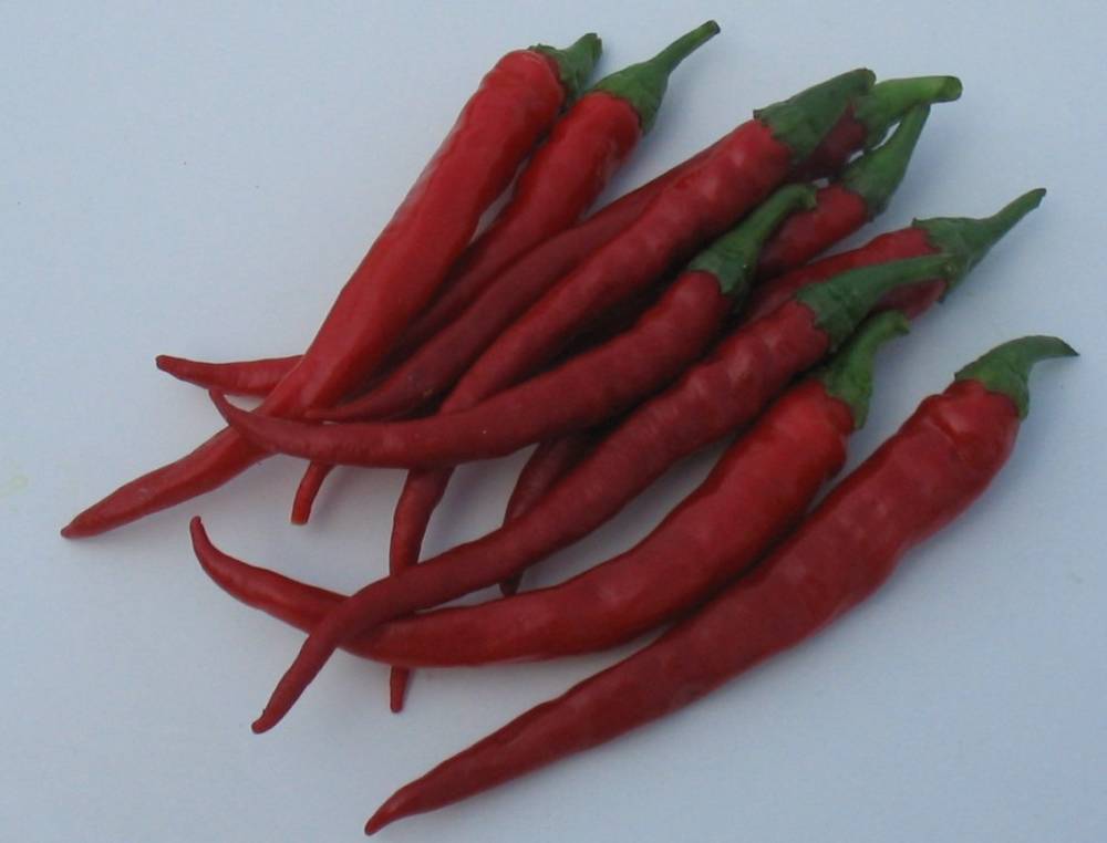 PEPPER TUONO F1