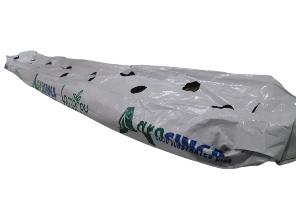 SINCA PLUS 100X20X12  12 holes