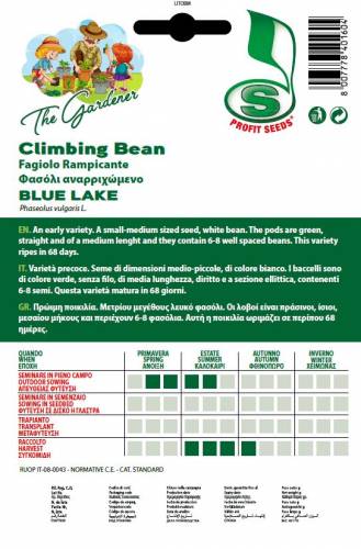 CLIMBING BEAN BLUE LAKE