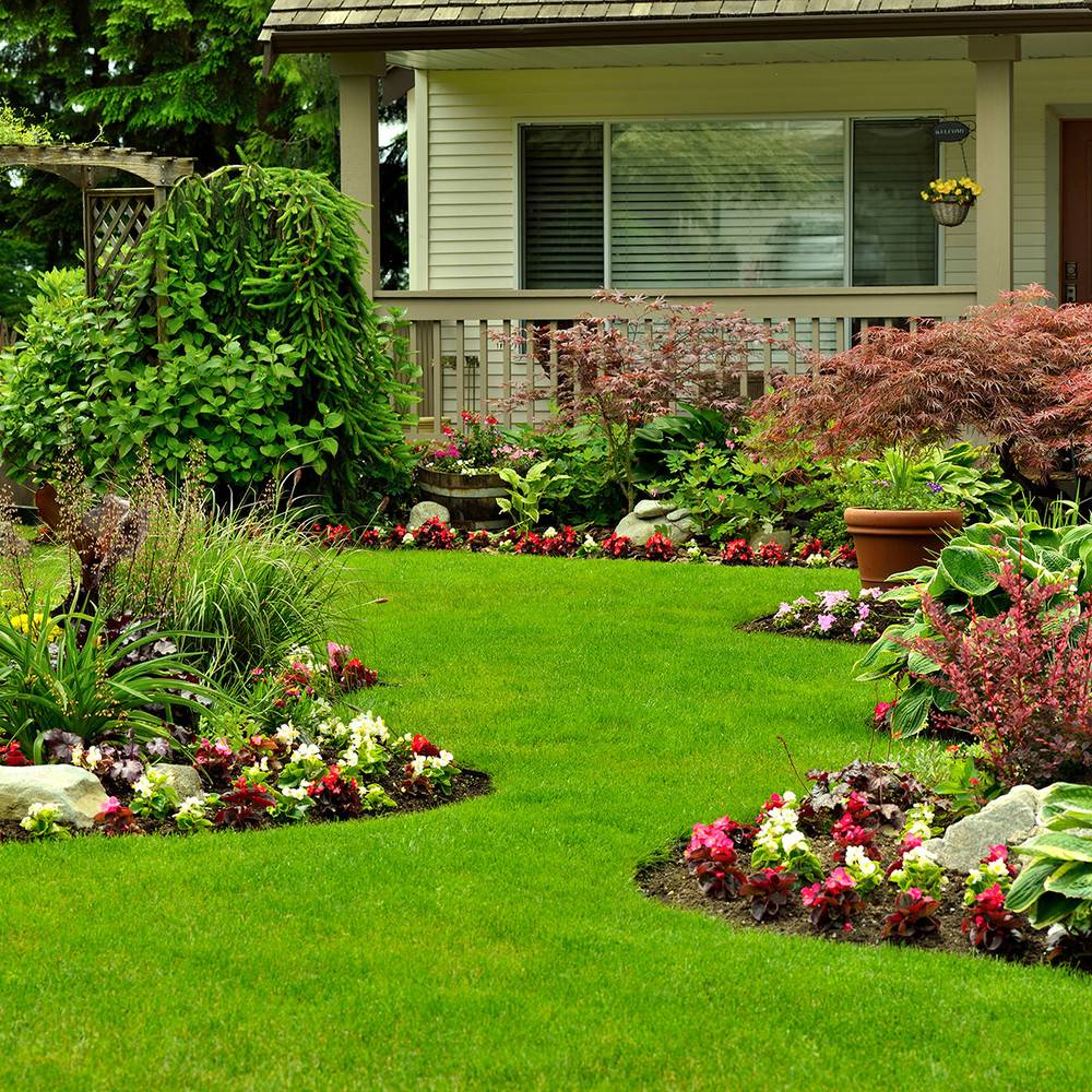 ALL PURPOSES FERTILIZER
