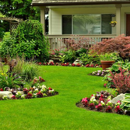 ALL PURPOSES FERTILIZER