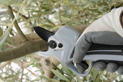ELECTRONIC PRUNER KV360 - 3 BATTERIES PLASTIC BOX