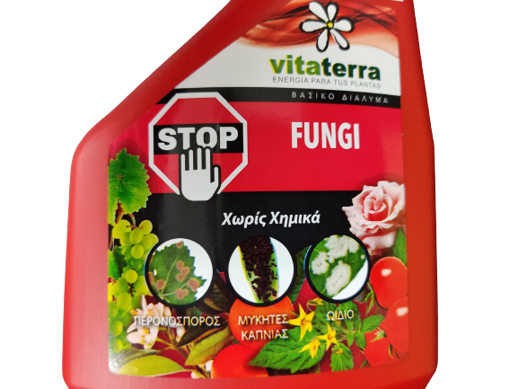 STOP FUNGI READY TO USE