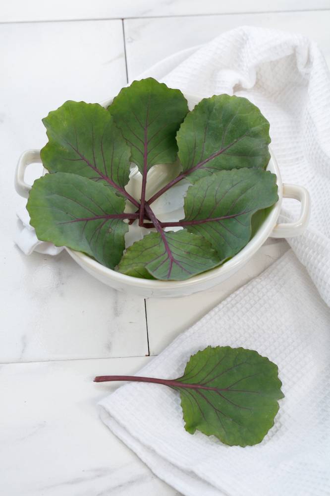 CABBAGE F1 RED JEWEL 