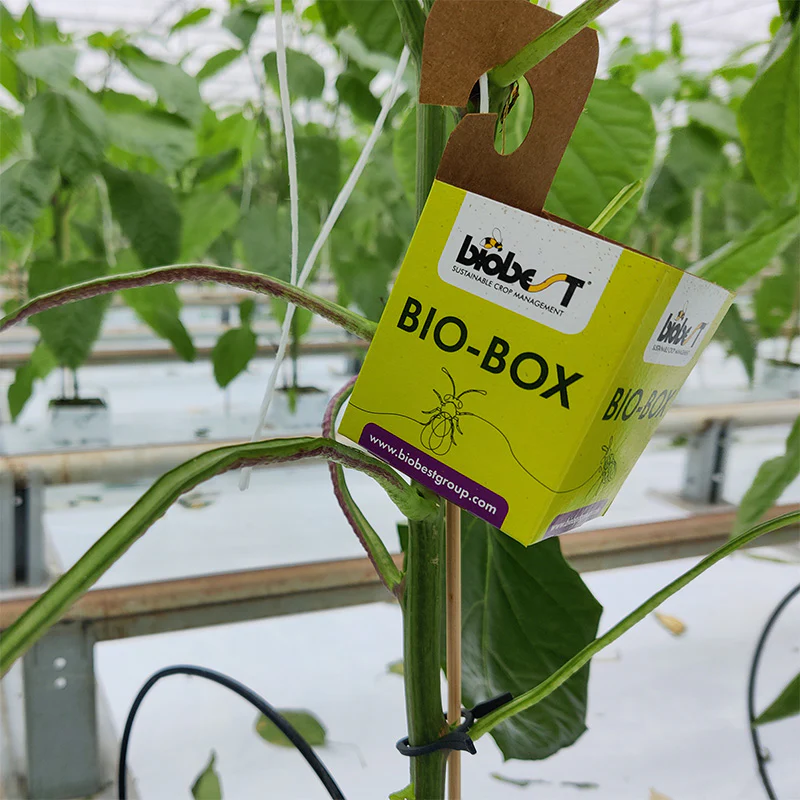 BIO-BOX V5