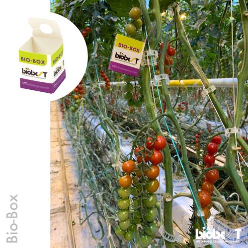 BIO-BOX V5