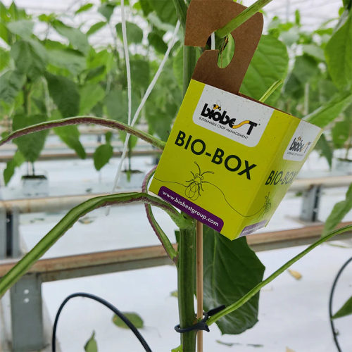 BIO-BOX V5